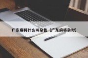 广东麻将什么叫杂色（广东麻将杂对）