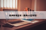 番禺联赛篮球（番禺v1篮球馆）