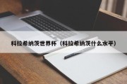 科拉希纳茨世界杯（科拉希纳茨什么水平）