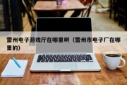 雷州电子游戏厅在哪里啊（雷州市电子厂在哪里的）