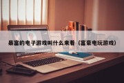暴富的电子游戏叫什么来着（富豪电玩游戏）
