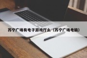 苏宁广场有电子游戏厅么（苏宁广场电脑）
