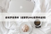 皮埃罗世界杯（皮耶罗2002世界杯进球）