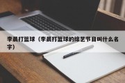 李晨打篮球（李晨打篮球的综艺节目叫什么名字）
