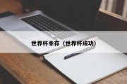 世界杯幸存（世界杯成功）