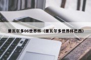 里瓦尔多06世界杯（里瓦尔多世界杯巴西）