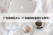 广东麻将机大小（广东麻将机是调什么数字）